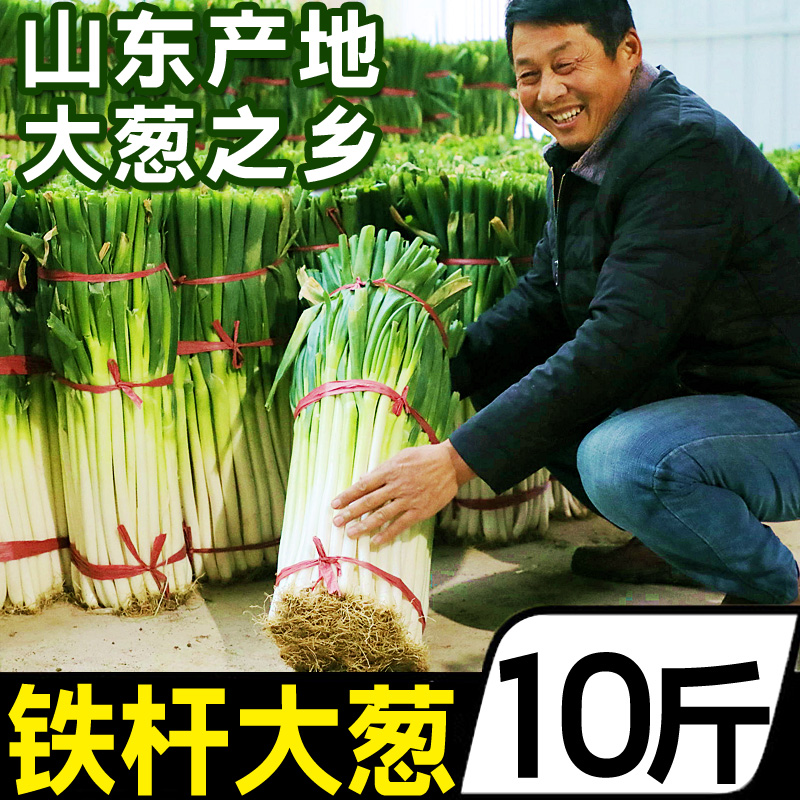 正宗山东大葱铁杆长葱10斤章丘大葱