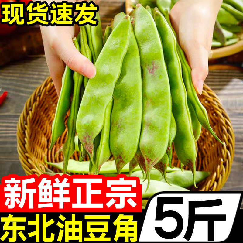 东北油豆角5斤黑龙江新鲜现摘蔬菜一