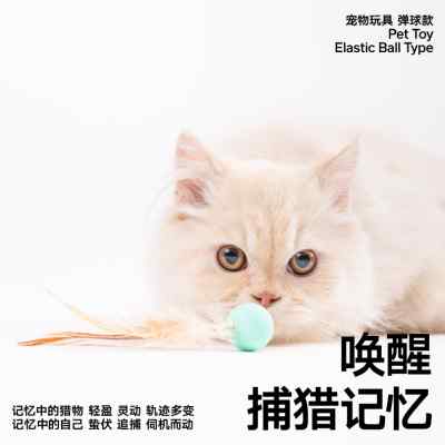 元気喵丨pidan弹力球猫玩具跳跳球逗猫棒自嗨解闷互动猫咪用品