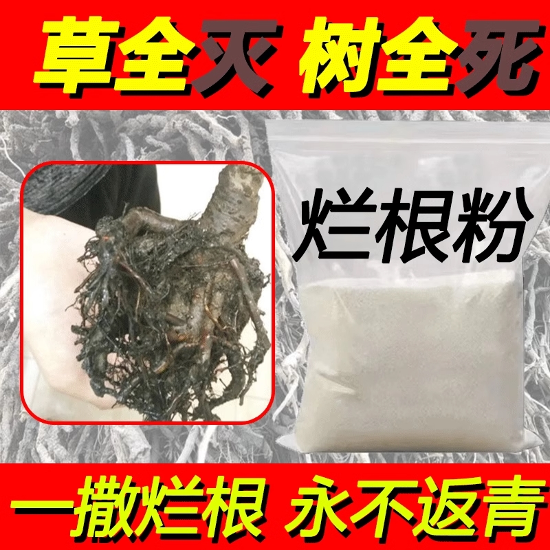 灭根粉灭树粉烂根粉枯树粉强力灭竹子