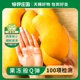 【恰好庄园】海南金煌芒4.5斤芒果新鲜水果超大果整箱批发包邮