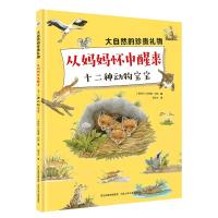 从妈妈怀中醒来：十二种动物宝宝/大自然的珍贵礼物[奥地利] 苏珊娜·莉娅 聂宗洋9787559521514