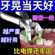 【牙松算个屁】牙齿晃动牙肉萎缩松动牙龈肿痛出血牙固齿神器牙膏