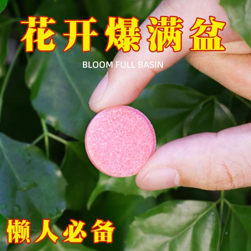 花草博士植物营养缓释片控释肥花卉绿