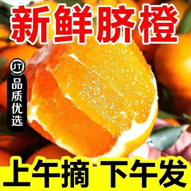 重庆奉节脐橙产地直发现摘当季新鲜橙子10斤正宗纽荷尔整箱包邮