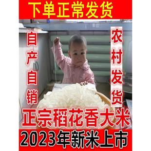 2023年新米东北大米正宗稻花香5kg黑龙江农家长粒香粳米超五常米