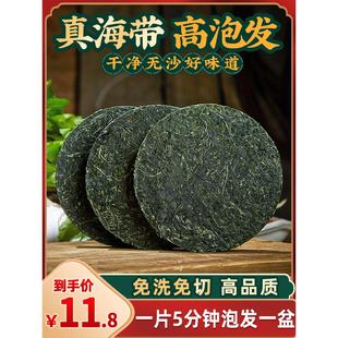 烘干压缩海带丝干货圆饼商用即食凉拌海洋蔬菜免洗海带苗嫩下饭菜