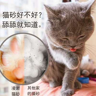 包邮凌源淩岩猫砂10公斤KG20斤膨润土猫沙结团除臭吸水无尘猫砂