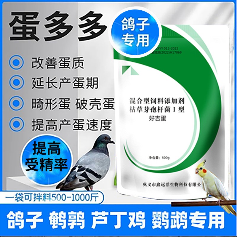 鸽子产蛋饲料蛋多多增蛋宝新奇鸽药鸽子发情鸽子不下蛋兑水