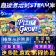 Steam正版梅树林的回声激活码CDKEY国区全球区Echoes of the Plum Grove电脑PC中文游戏