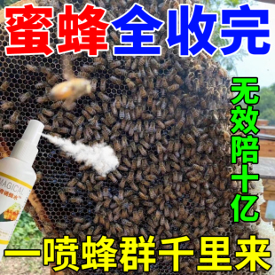 【三秒蜂全来】诱蜂膏招蜂水引胡蜂蜜蜂土蜂室外诱蜂专用蜡诱蜂神