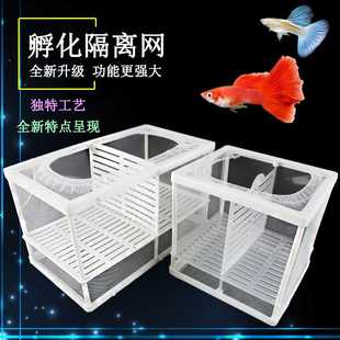 孵化盒鱼缸隔离网 水族箱孵化器 小鱼隔离网 热带鱼繁殖箱 隔离盒