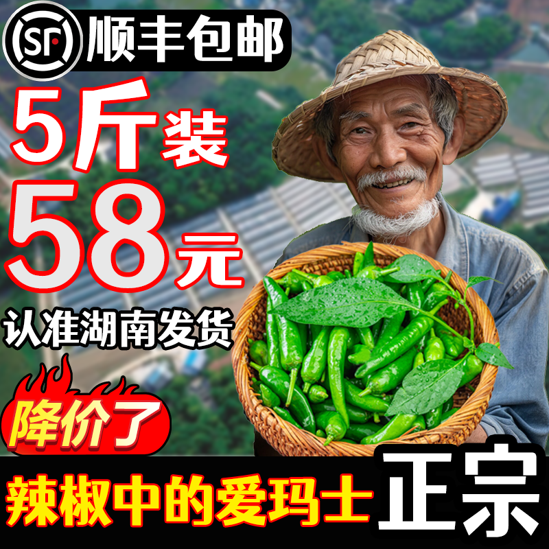 正宗湖南樟树港小辣椒9斤新鲜青辣椒