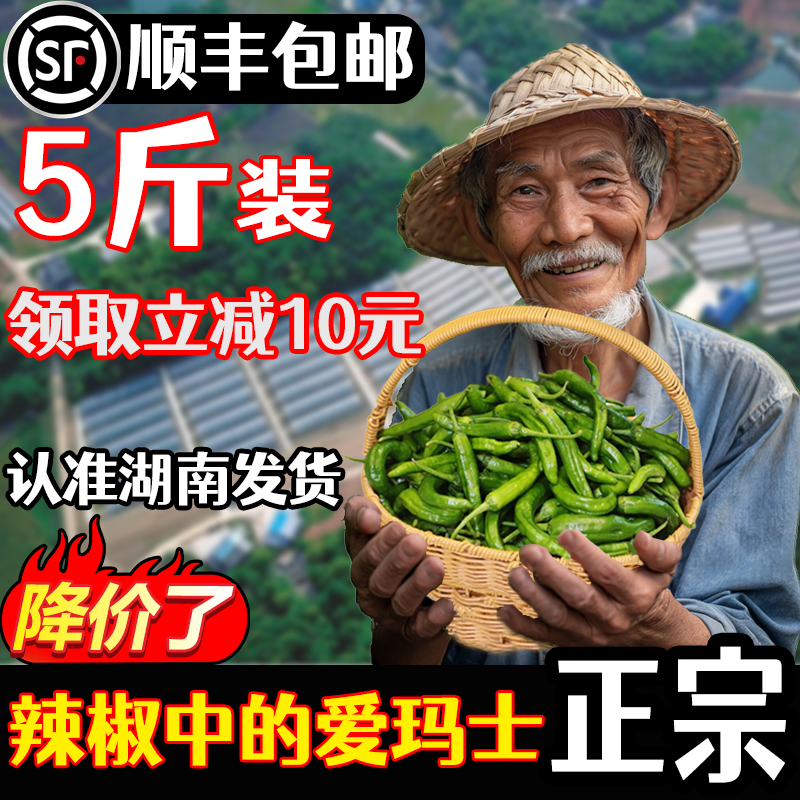 精品正宗湖南樟树港小辣椒现摘新鲜薄