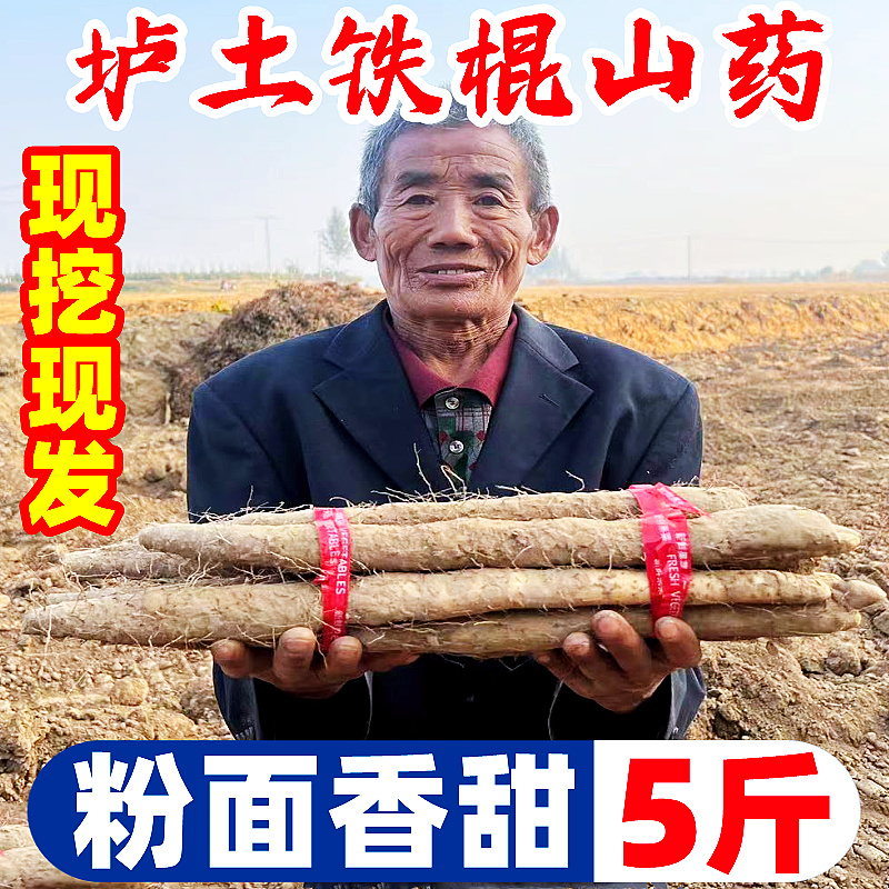 正宗河南垆土铁棍山药5斤新鲜蔬菜小