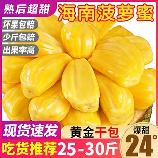 海南三亚特产当季菠萝蜜一整个新鲜水果黄肉波罗蜜现摘40斤红肉心