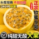 广西钦蜜9号黄金百香果新鲜当季5斤随机快递纯甜一级现摘整箱包邮