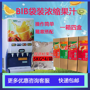 BIB10倍浓缩果汁果茶5公斤袋装原浆包现调饮料商用甜橙蓝莓水蜜桃