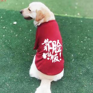 狗狗衣服夏季背心大中型犬金毛拉布拉多萨摩耶防掉毛薄款宠物衣服