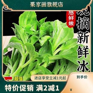 新鲜冰草当季蔬菜5斤现摘花冰叶火锅即食生吃沙拉菜凉拌顺丰包邮