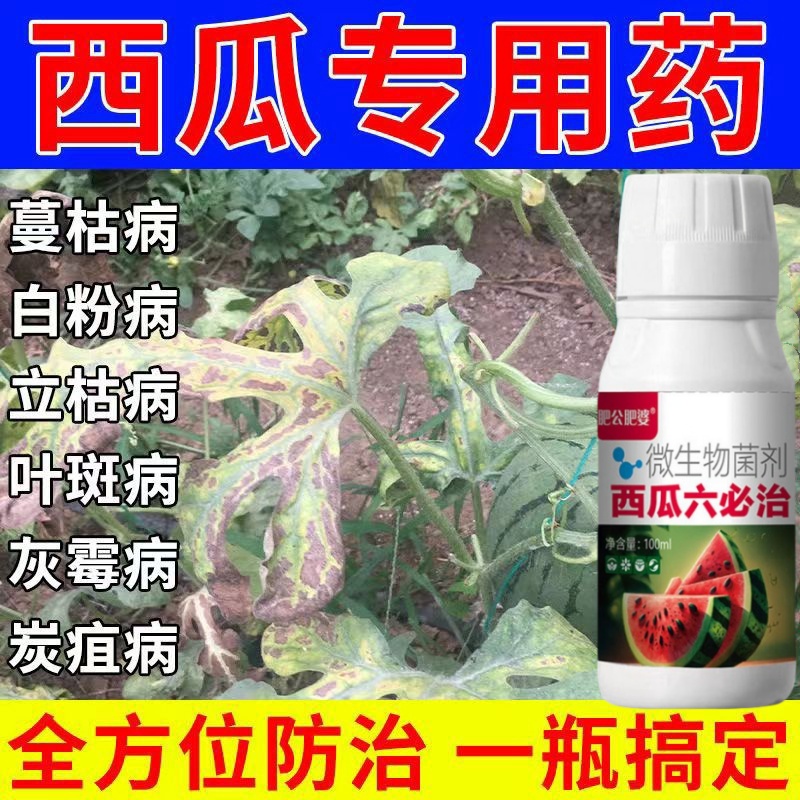 西瓜六必治专用药病毒白粉枯萎炭疽肥料病全治病毒病生物有机复合