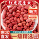 东北特产红衣花生米24年新货农家老品种手剥四粒红脱皮花生仁500g