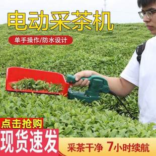 电动采茶机器单人便携式小型茶叶采摘机草莓修剪机充电绿篱机
