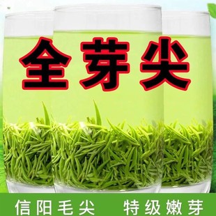 茶叶2024新绿茶信阳毛尖明前茶叶手工正宗高山茶自产自销散装250g