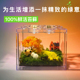 曼尾纱苔藓微景观小摆件diy材料造景盆栽办公室绿植解压创意礼物