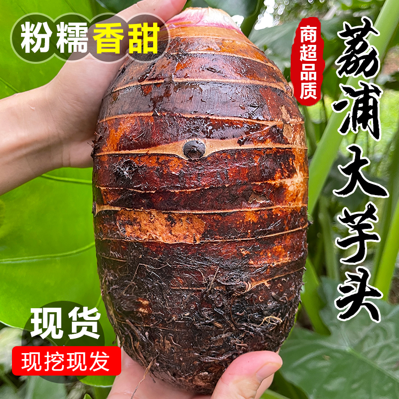 广西荔浦大芋头10斤新鲜香芋槟榔芋