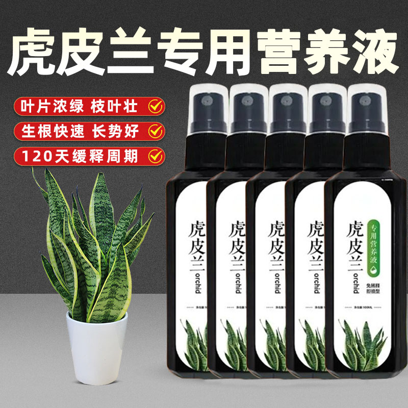 虎皮兰专用爆芽素增肥生根防徒长盆栽