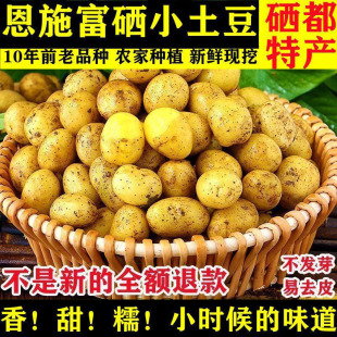 湖北恩施迷你现挖新鲜黄心土豆富硒小土豆当季蔬菜马铃薯洋芋整箱