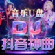 汽车载全视频u盘抖音dj歌曲劲爆舞曲mp4无损高音质车用优盘高清MV