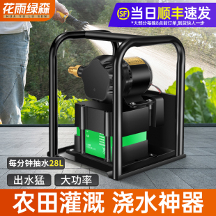 水泵锂电抽水浇菜神器自吸电动充电式12v24v直流农用大功率抽水机