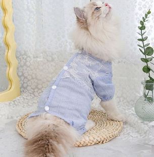 高档猫咪衣服夏季薄款防掉毛布偶蓝猫居家服宠物幼猫猫包肚衣四脚