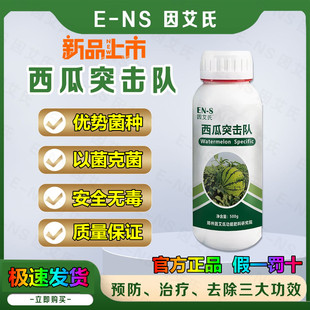 因艾氏西瓜突击队甜瓜哈密瓜香瓜专用防炭疽枯萎微生物制菌剂肥收