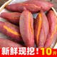 红薯正宗西瓜红蜜薯糖心新鲜番薯板栗六鳌沙地地瓜山芋农家自种10