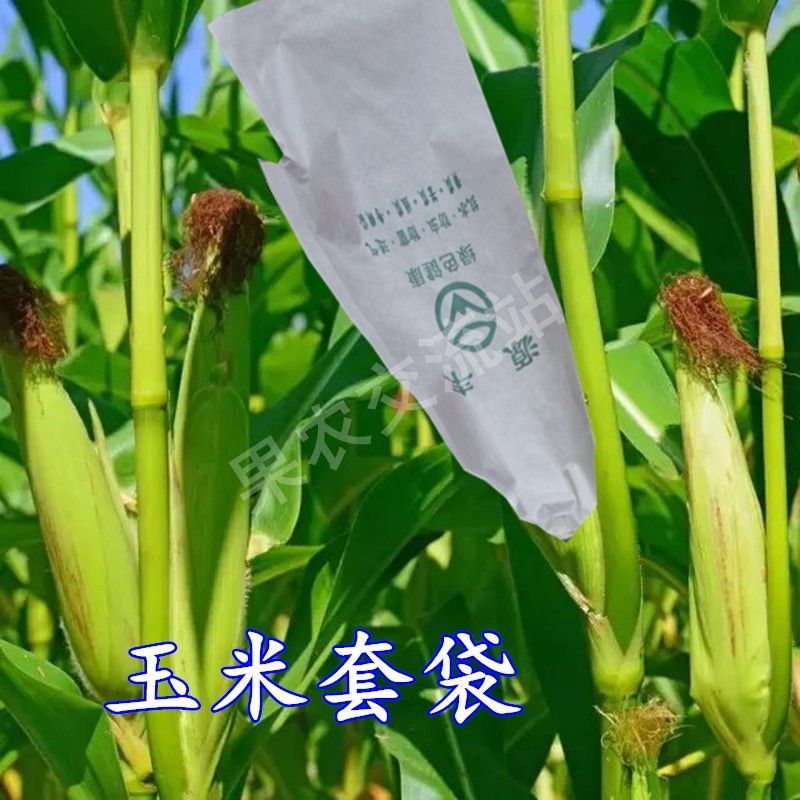 苦瓜套袋专用袋凉瓜黄瓜果蔬袋癞瓜青瓜紫茄子纸袋玉米南瓜保护袋