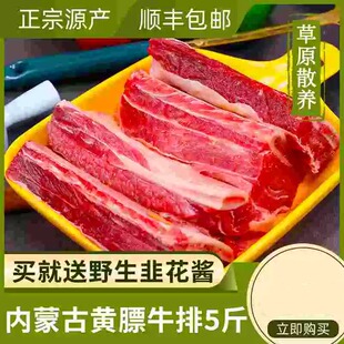 黄膘牛排整切内蒙古牛肋排品质四肋牛排骨带肉黄牛肉牛腩商用5斤