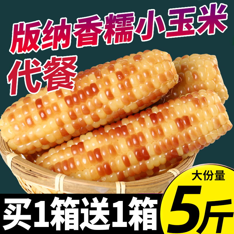 5斤云南西双版纳香糯小玉米即食真空