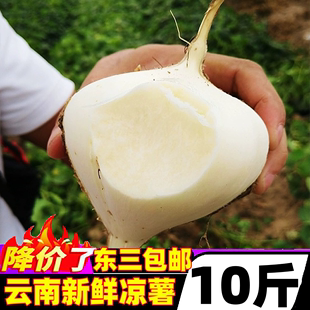 凉薯新鲜云南白心地瓜萝卜水果10斤大果番薯当季农家即食蔬菜包邮