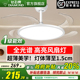 钻石牌隐形风扇灯2025年新款超薄一体吊灯家用卧室书房变频吊扇灯
