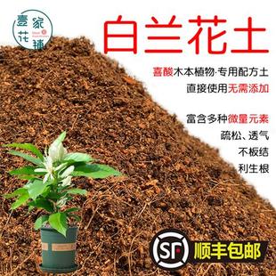 白兰花土酸性土专用营养土盆栽种植白玉兰花透气花泥有机土壤肥料