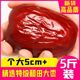 新疆红枣干货和田大枣特级生吃零食非无核免洗灰枣煲汤煮粥批发