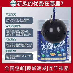 烧太湖软一号青鱼珠珠饵硅胶珠沉水钓鱼饵料红肉蓝莓大物颗粒巨物