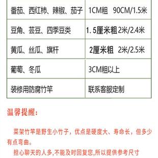 竹竿园艺支架豆角黄瓜支撑杆花架植物园番茄固定爬藤架菜园搭架杆