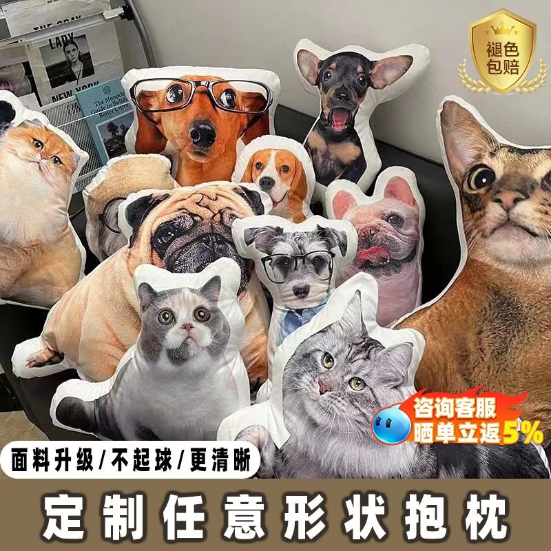 diy定制丑猫抱枕来图照片定做玩偶枕头无白边异形无描边猫狗宠物