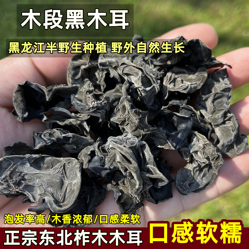 东北黑木耳干货黑龙江特产半野生柞木段木耳秋耳散装无根大朵500g