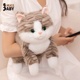 抱抱宝贝正版仿真猫咪玩偶橘猫猫公仔送儿童女生睡觉抱枕生日礼物