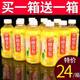 【官方正品】网红冰糖雪梨饮料6瓶/24瓶一整箱清润解渴梨汁新日期